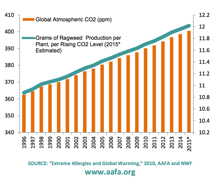 Source: Asthma and Allergy Foundation of America